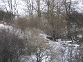 Polovnicke zdruzenie-Lipie   130